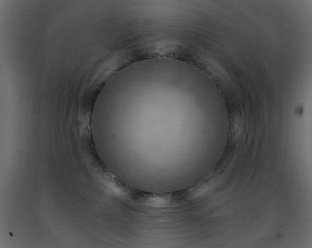 X0000093560236200710151113