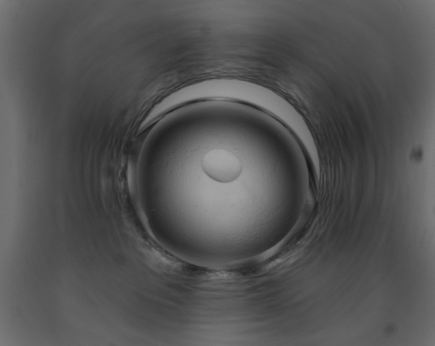 X0000093560237200710151113