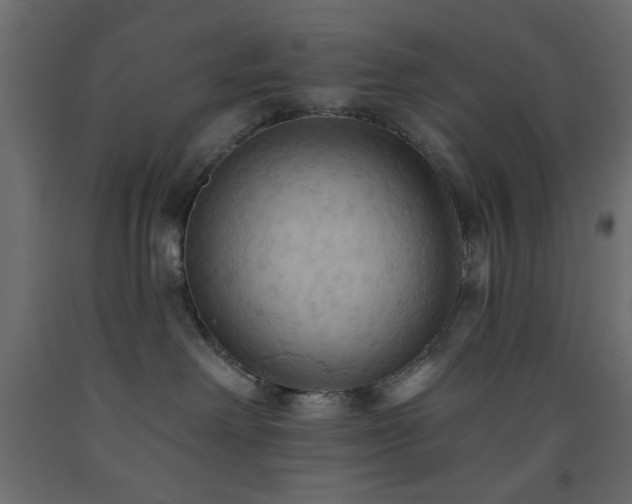 X0000093560238200710151113