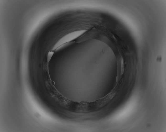 X0000093560239200710151113