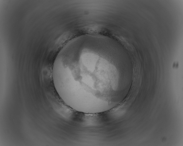 X0000093560240200710151113