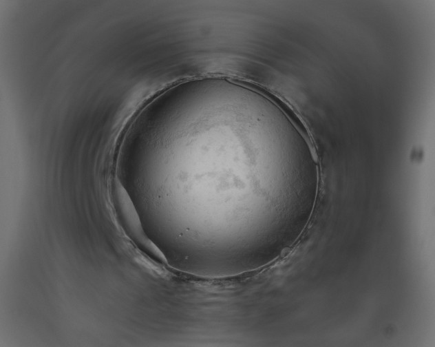 X0000093560241200710151113