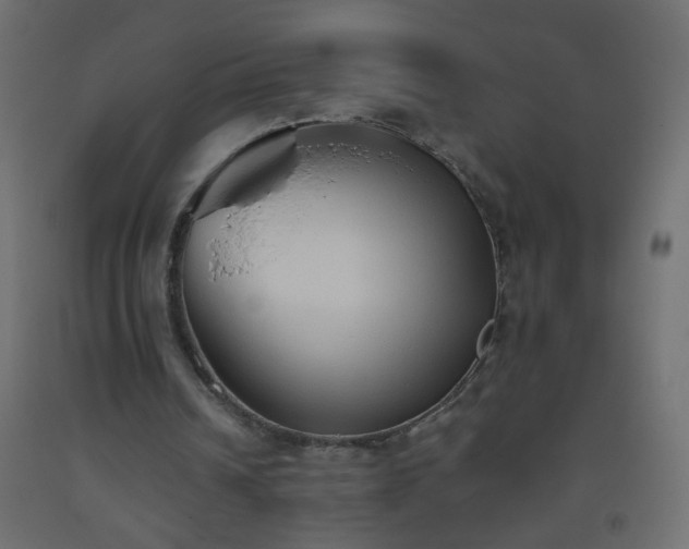 X0000093560242200710151113