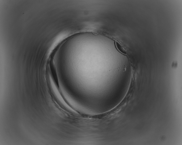X0000093560244200710151113