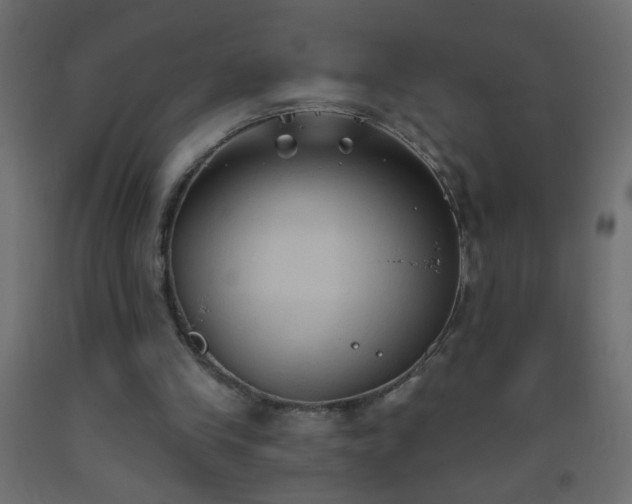 X0000093560245200710151113