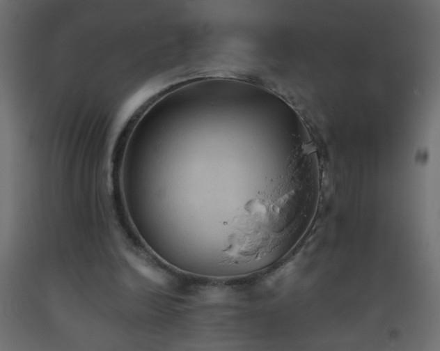 X0000093560246200710151113