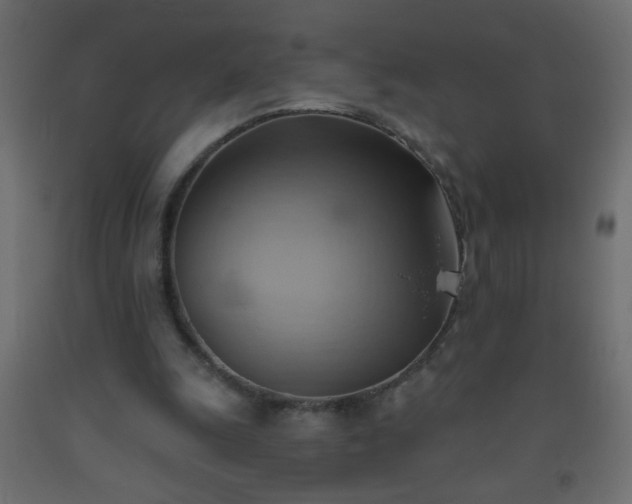 X0000093560247200710151113