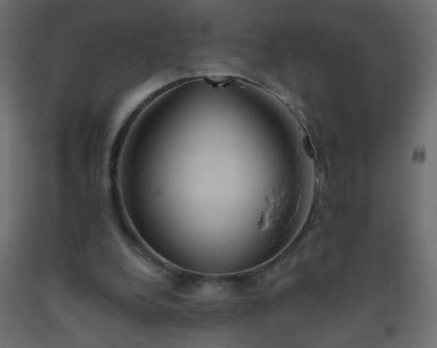 X0000093560248200710151113