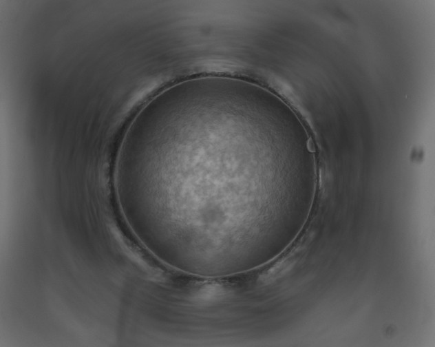 X0000093560249200710151113