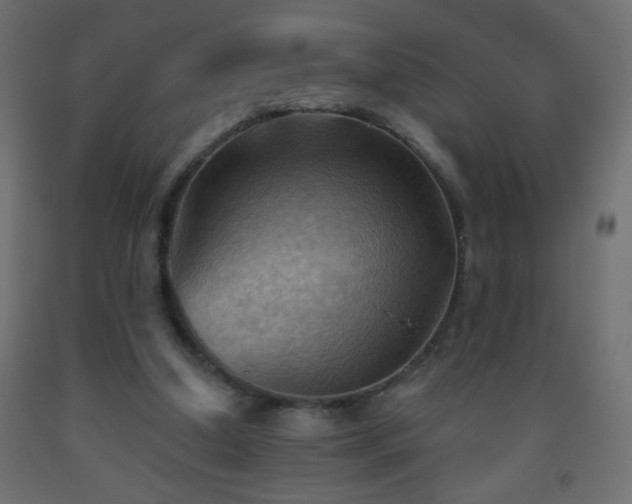 X0000093560250200710151113