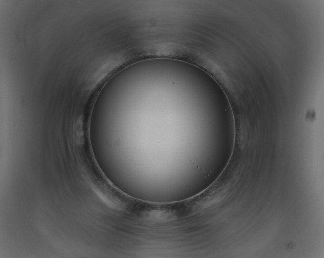 X0000093560251200710151113