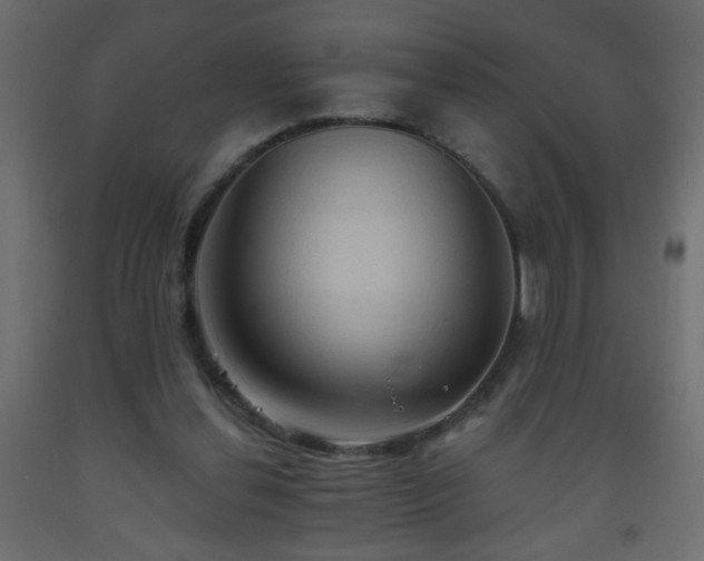 X0000093560252200710151113
