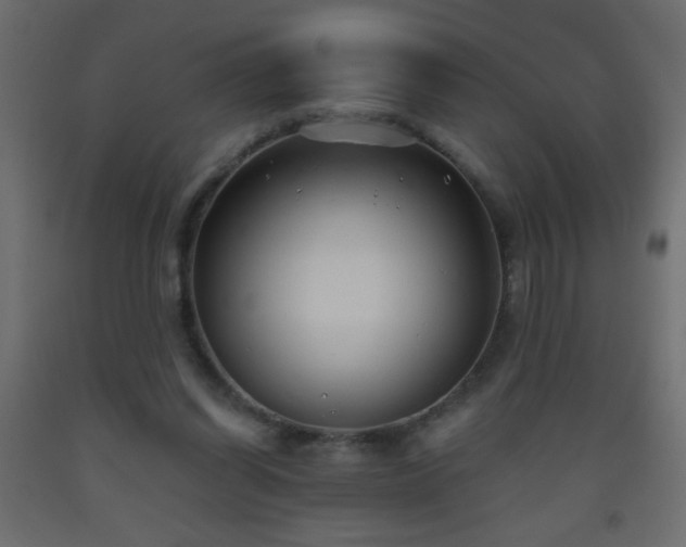 X0000093560254200710151113