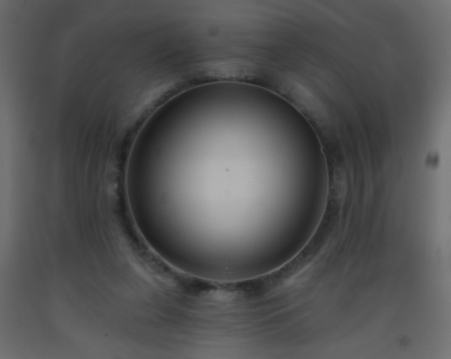 X0000093560255200710151113