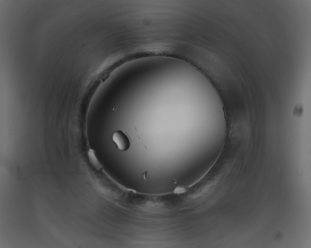 X0000093560256200710151113