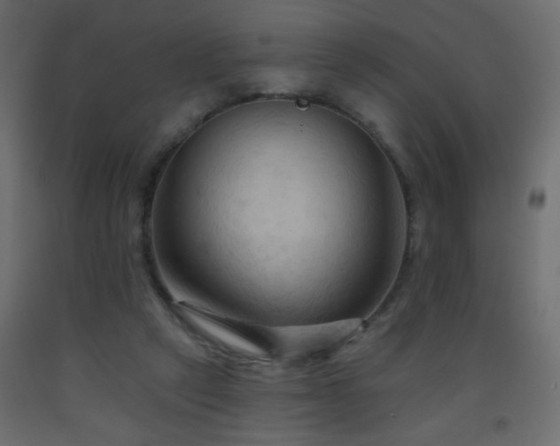 X0000093560257200710151113
