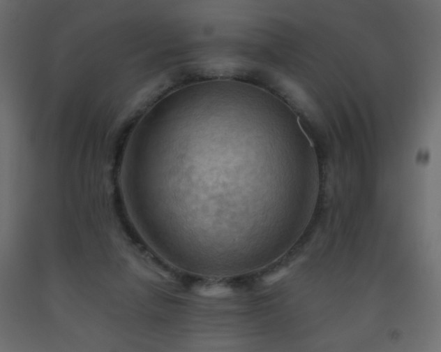 X0000093560258200710151113