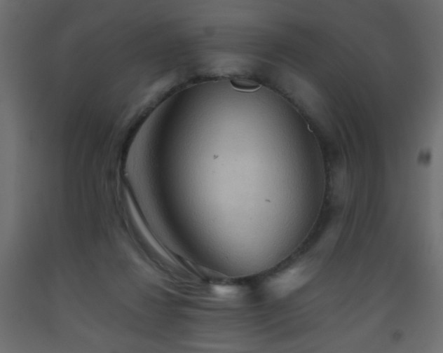 X0000093560260200710151113