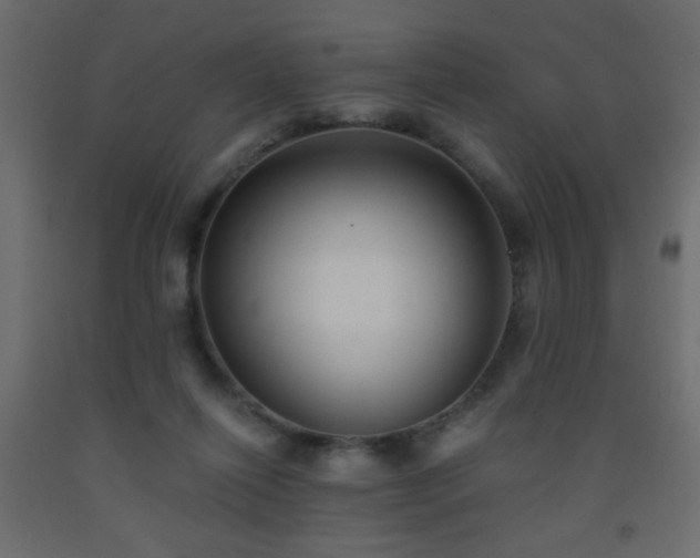 X0000093560262200710151113