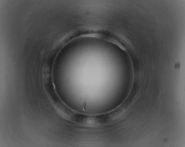 X0000093560264200710151113