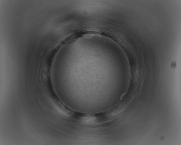 X0000093560266200710151113