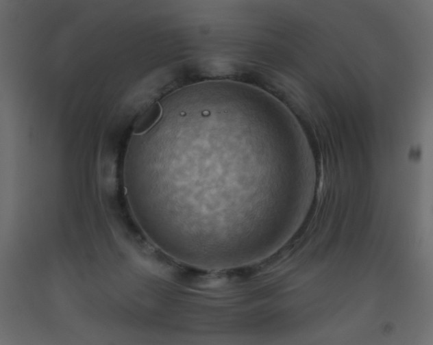 X0000093560267200710151113
