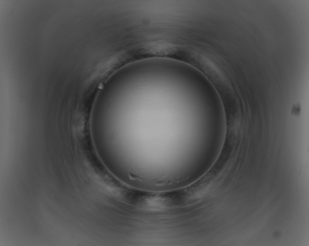 X0000093560268200710151113