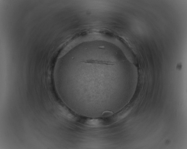 X0000093560269200710151113
