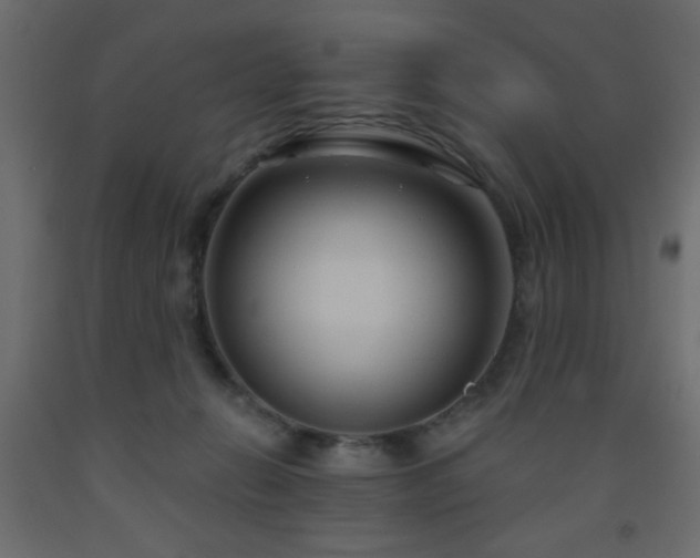 X0000093560270200710151113