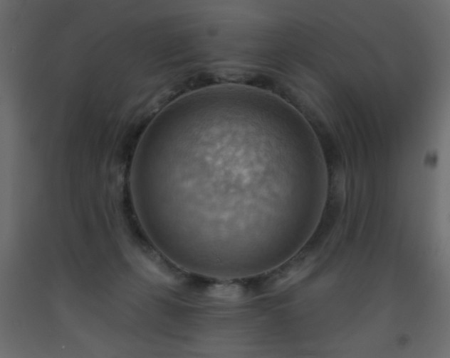 X0000093560271200710151113