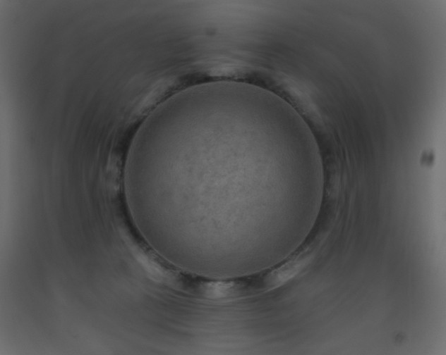 X0000093560273200710151113