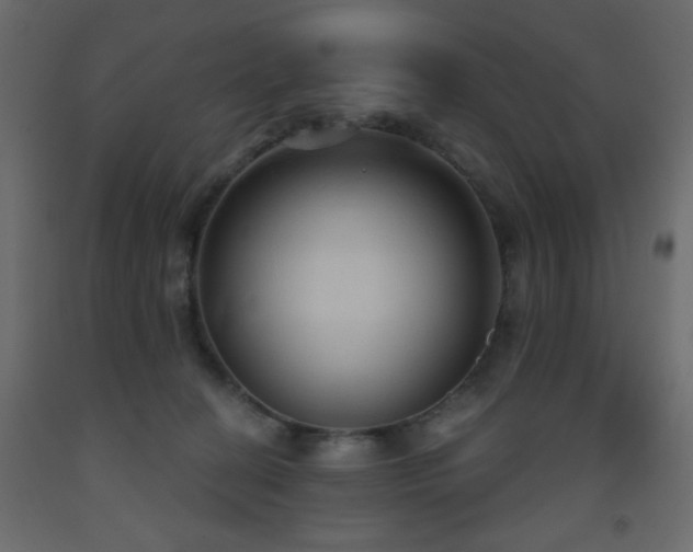 X0000093560274200710151113