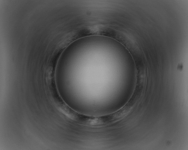 X0000093560275200710151113