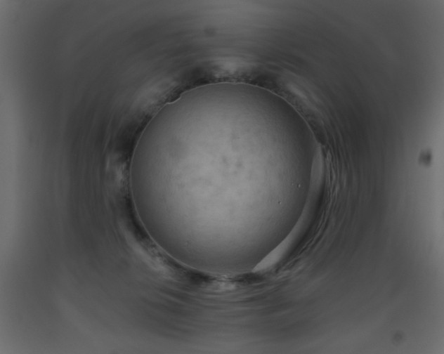 X0000093560276200710151113