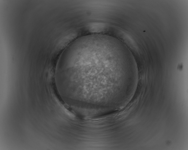 X0000093560277200710151113