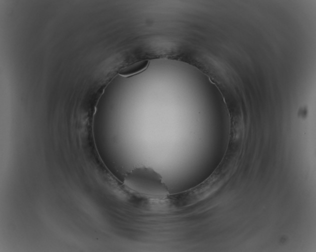 X0000093560279200710151113