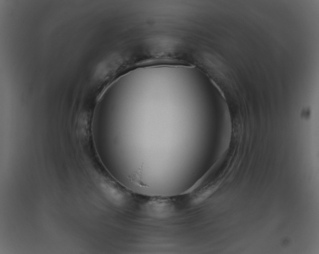 X0000093560280200710151113