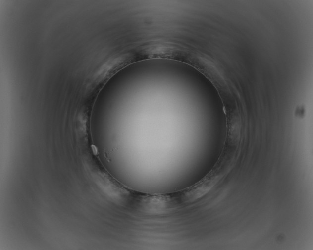 X0000093560282200710151113