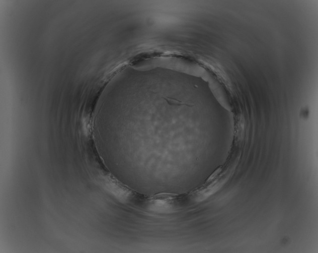 X0000093560285200710151113