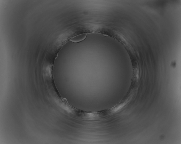 X0000093560286200710151113
