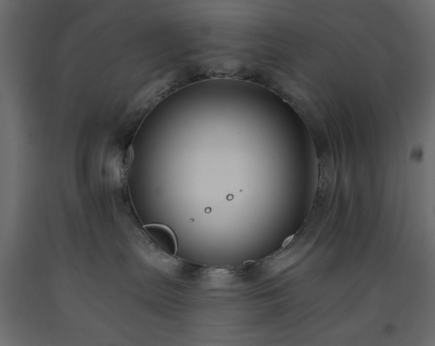 X0000093560287200710151113