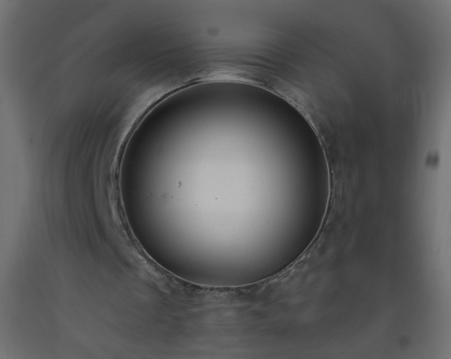 X0000093560289200710151113