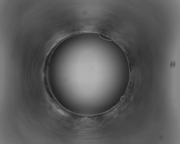 X0000093560290200710151113
