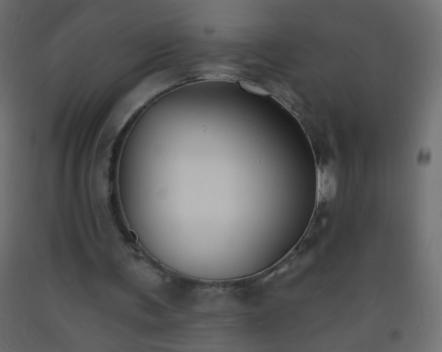 X0000093560291200710151113