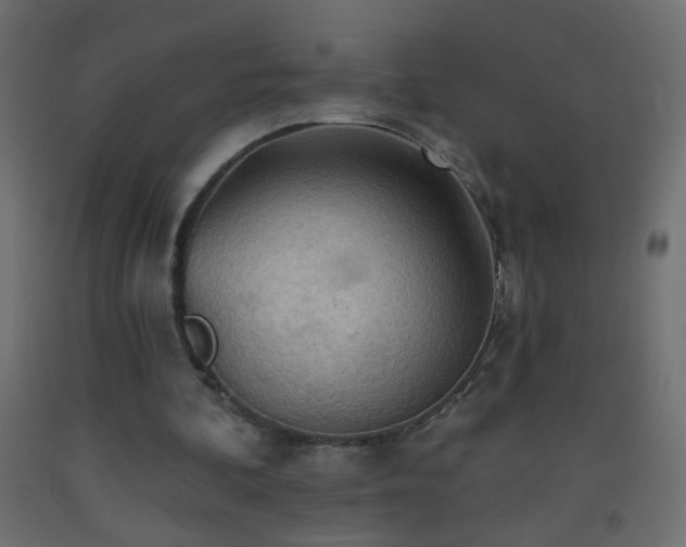 X0000093560292200710151113