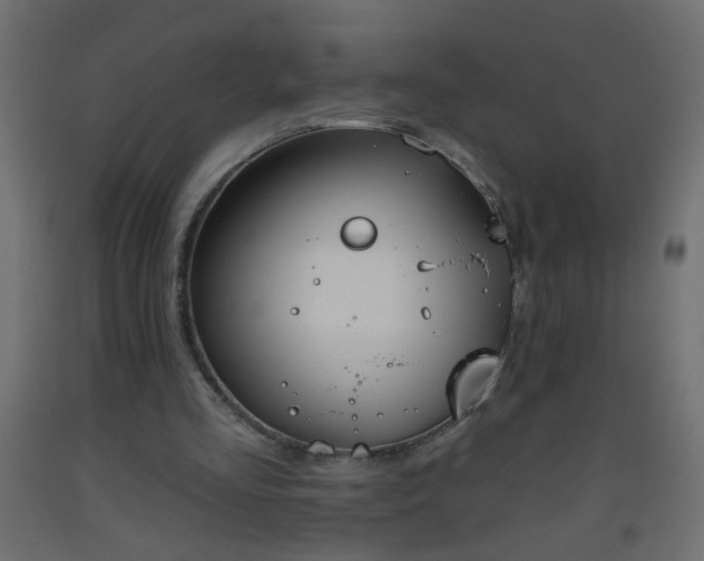 X0000093560293200710151113