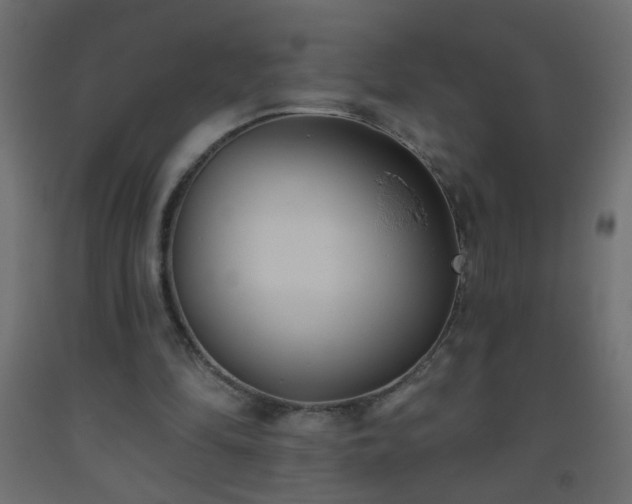 X0000093560294200710151113