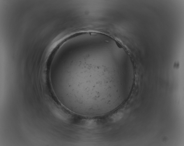 X0000093560295200710151113