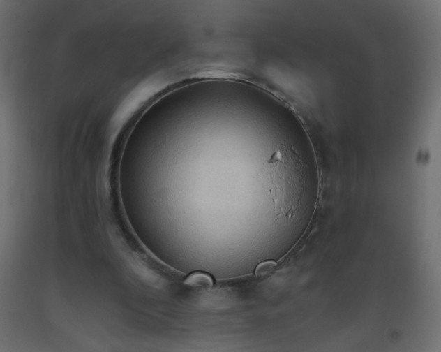 X0000093560296200710151113