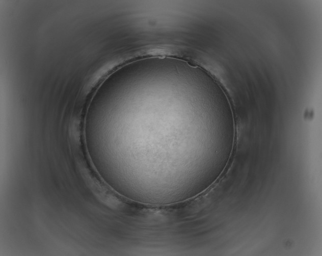 X0000093560297200710151113